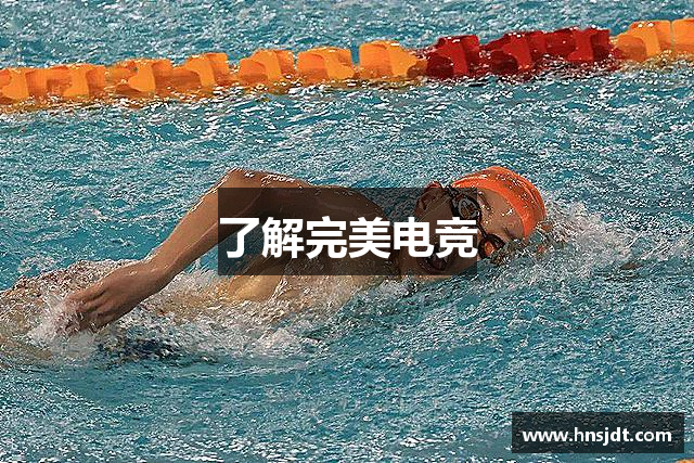 了解完美电竞